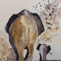 aquarellen-2021-african-wildlife-012