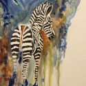 aquarellen-2021-african-wildlife-013