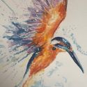 aquarellen-2021-vogels-001