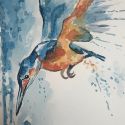 aquarellen-2021-vogels-002