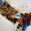 aquarellen-2021-vogels-003