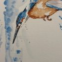 aquarellen-2021-vogels-004