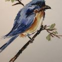 aquarellen-2021-vogels-006