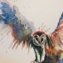 aquarellen-2021-vogels-007