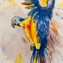 aquarellen-2021-vogels-008