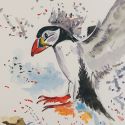 aquarellen-2021-vogels-009