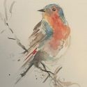 aquarellen-2021-vogels-011